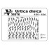 Urtica dioica 35076